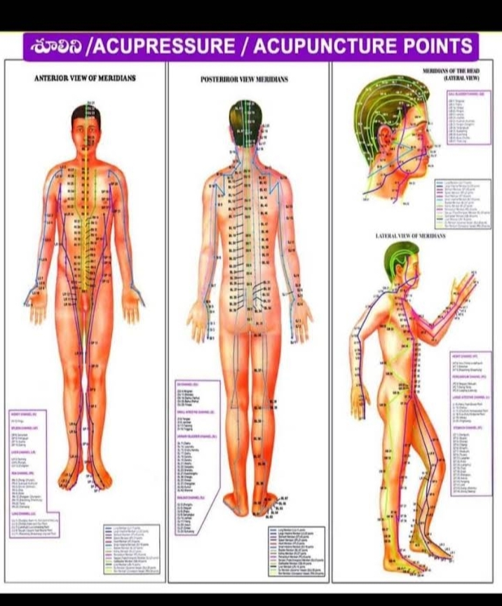 Acupressure & Acupuncture Meridian Points