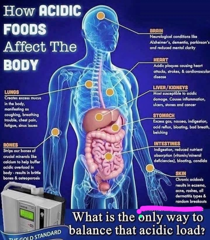 Impact of Acidic Load on the Body